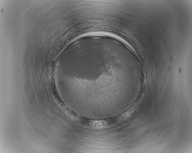 X0000056330277200508261228