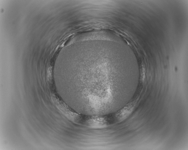 X0000056330278200508261228