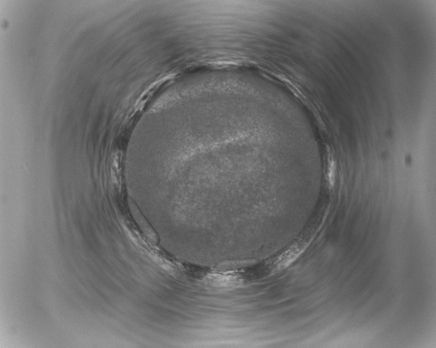 X0000056330280200508261228