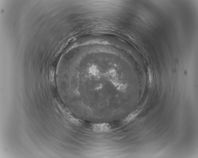 X0000056330281200508261228