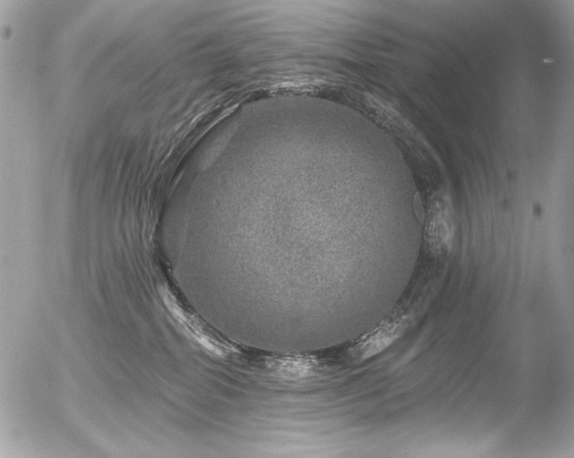 X0000056330282200508261228