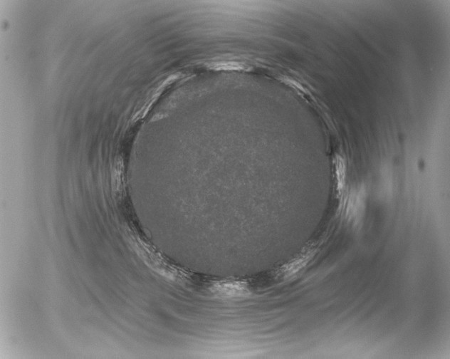 X0000056330283200508261228