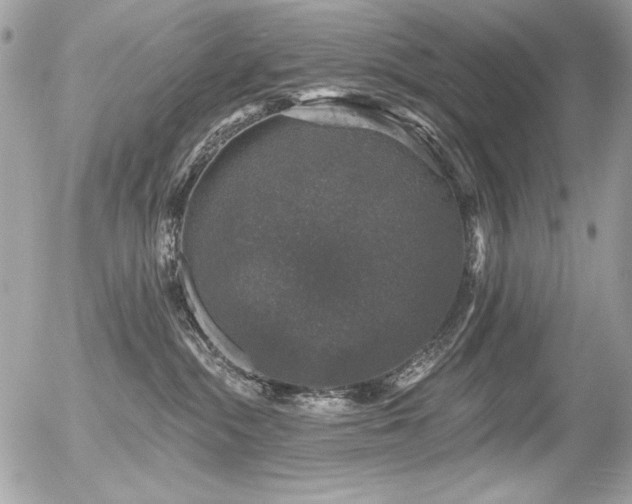 X0000056330284200508261228