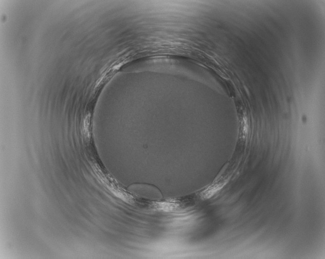 X0000056330286200508261228