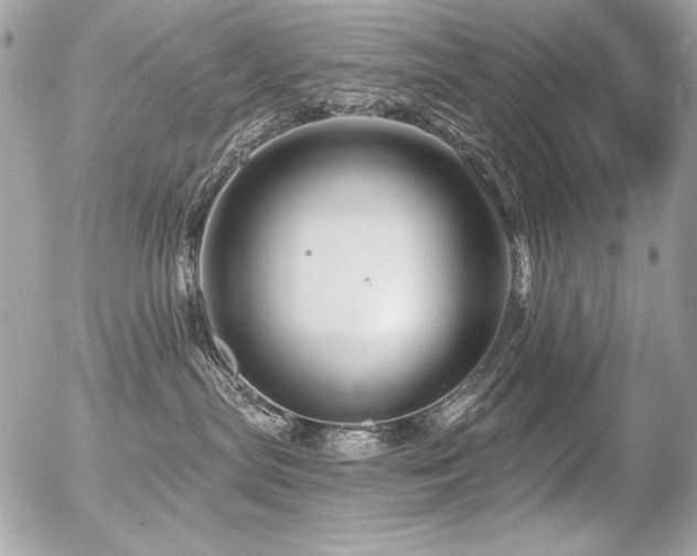 X0000056330287200508261228