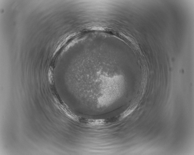 X0000056330288200508261228