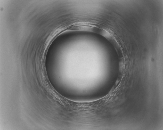 X0000056330289200508261228