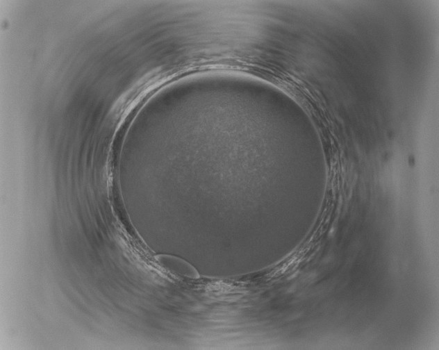 X0000056330290200508261228