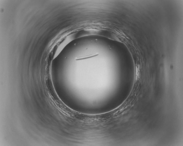 X0000056330291200508261228