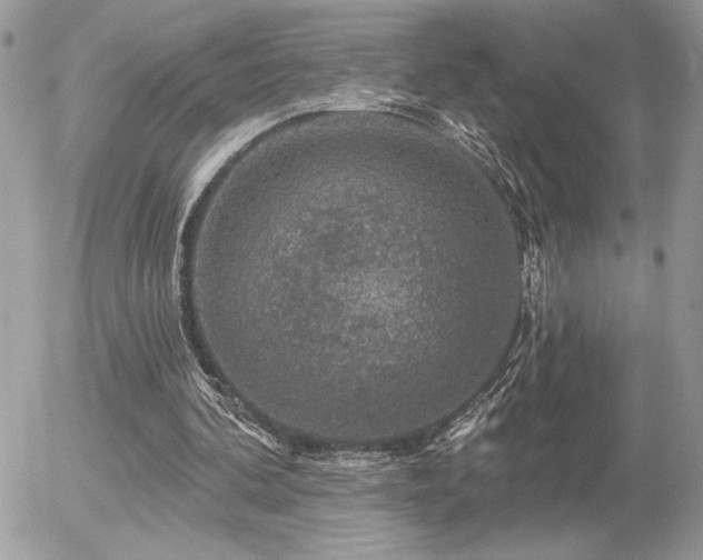 X0000056330292200508261228