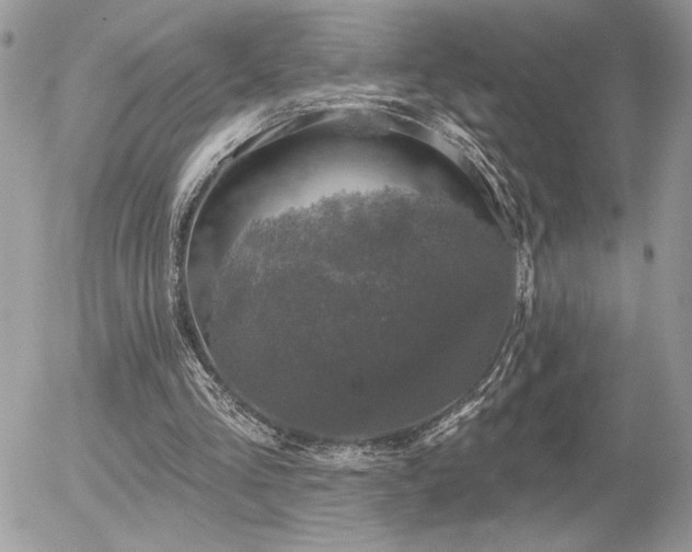 X0000056330293200508261227