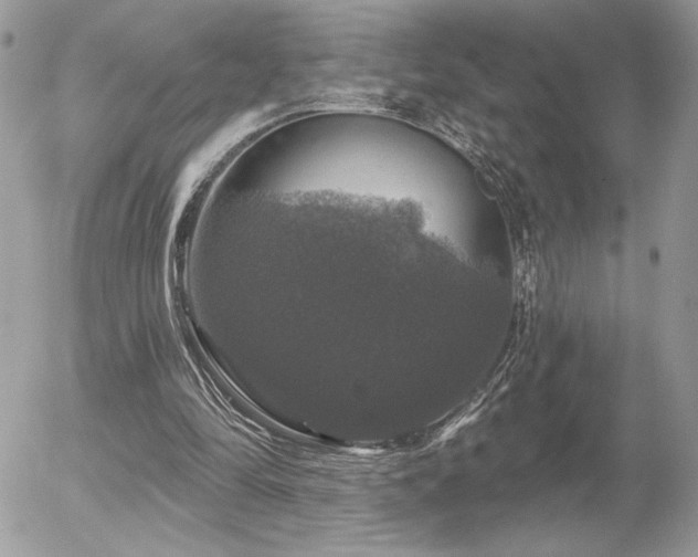 X0000056330294200508261227