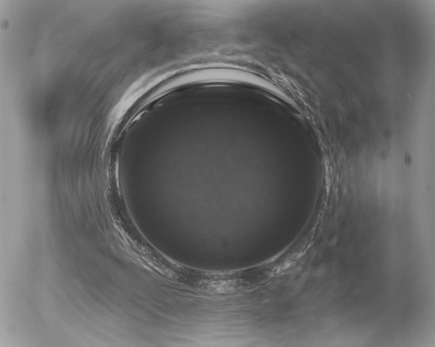 X0000056330295200508261227