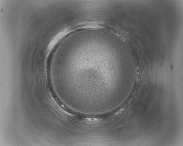 X0000056330296200508261227