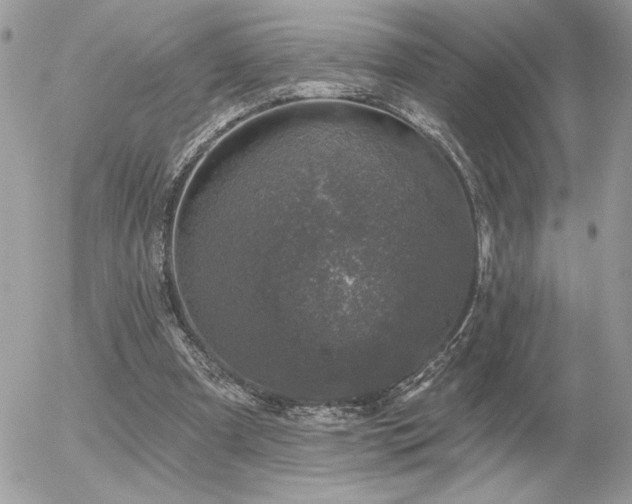 X0000056330297200508261227