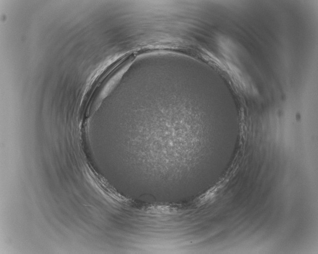 X0000056330298200508261227