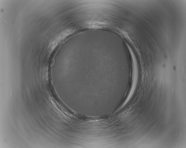 X0000056330299200508261227