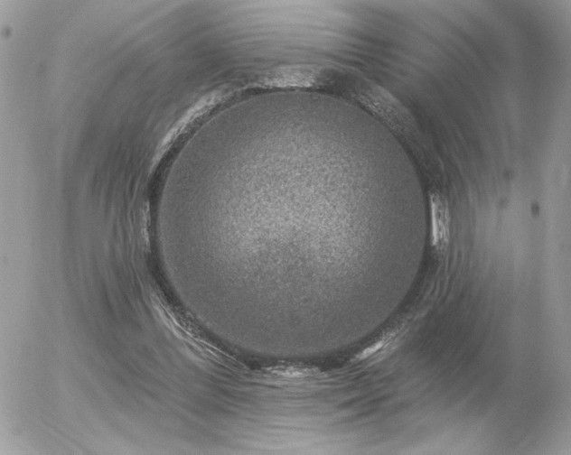 X0000056330300200508261227