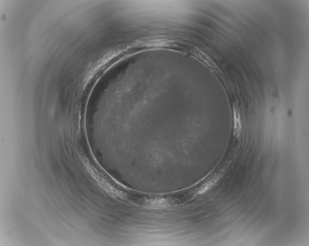 X0000056330301200508261227