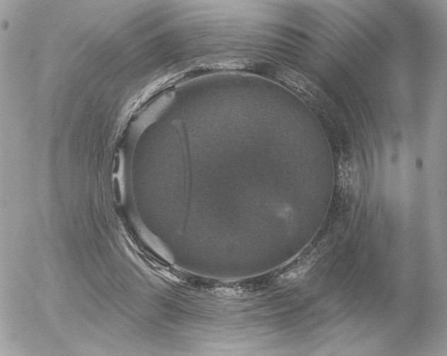 X0000056330302200508261227