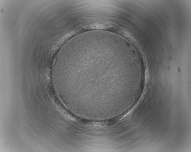 X0000056330305200508261227