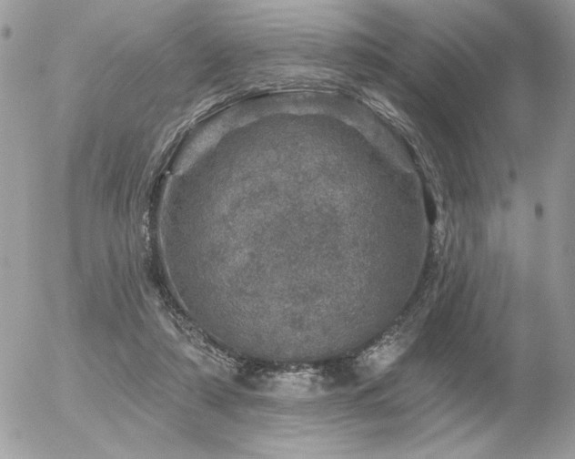 X0000056330306200508261227