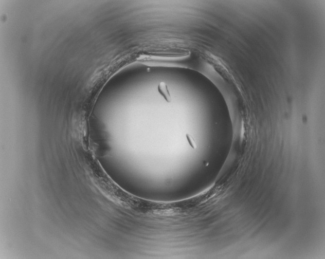 X0000056330307200508261227