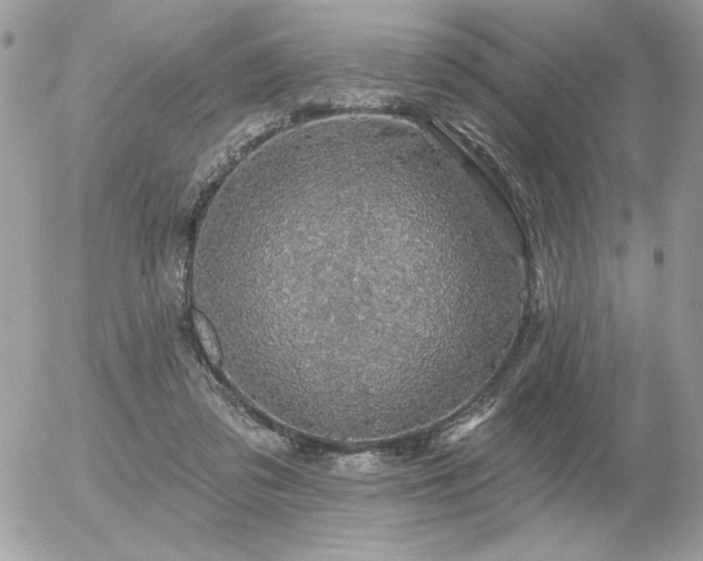 X0000056330309200508261227