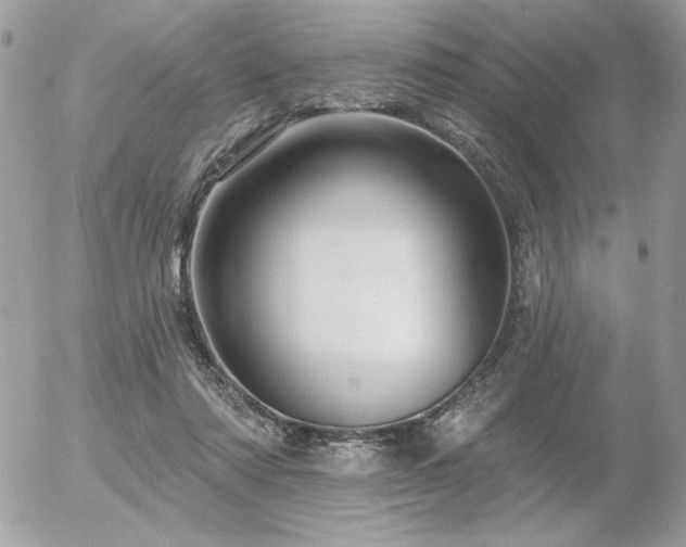 X0000056330310200508261227