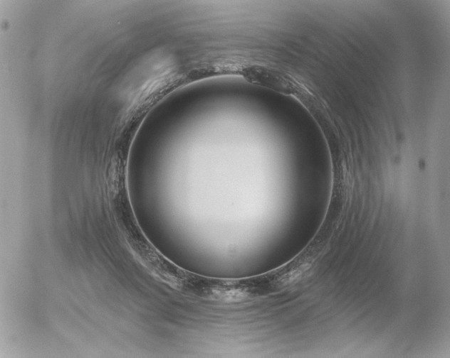 X0000056330311200508261227