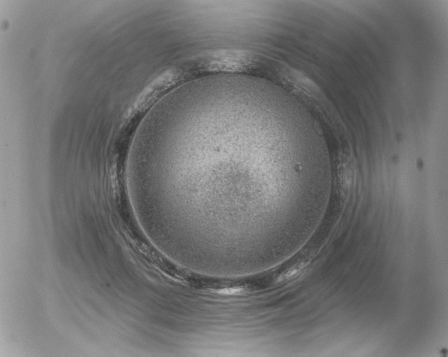 X0000056330312200508261227