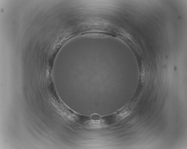 X0000056330314200508261227