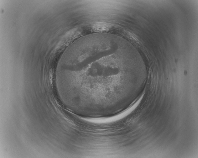 X0000056330315200508261227