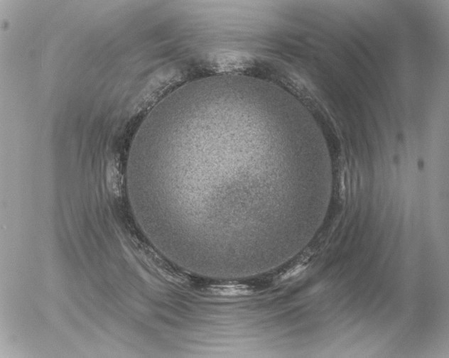 X0000056330316200508261227