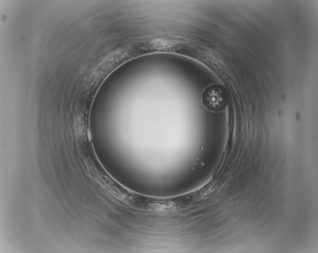 X0000056330317200508261227