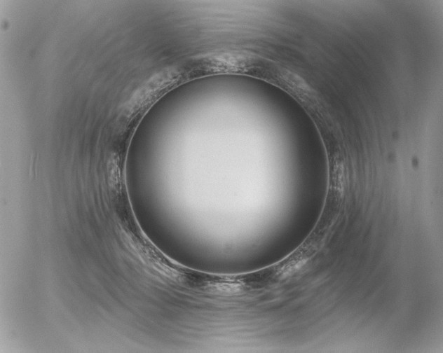 X0000056330318200508261227