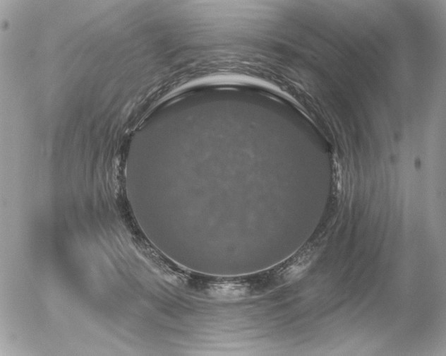 X0000056330319200508261227