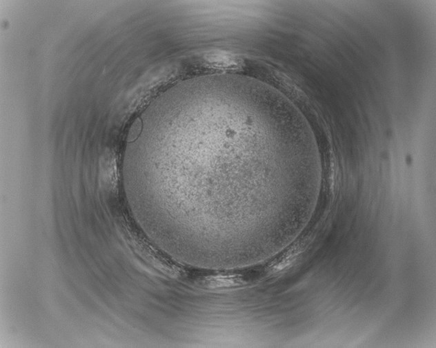 X0000056330320200508261227