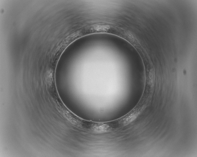 X0000056330321200508261227