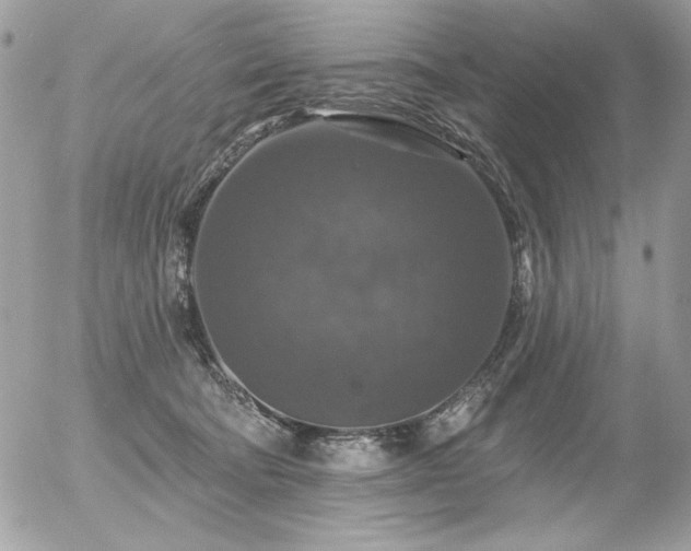 X0000056330322200508261227