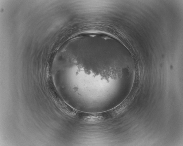 X0000056330323200508261227