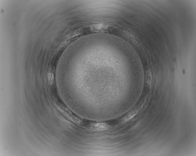 X0000056330324200508261227