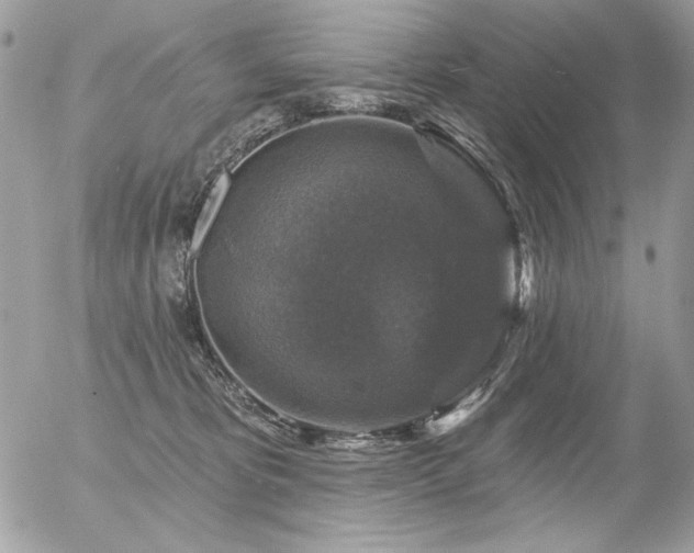 X0000056330325200508261227