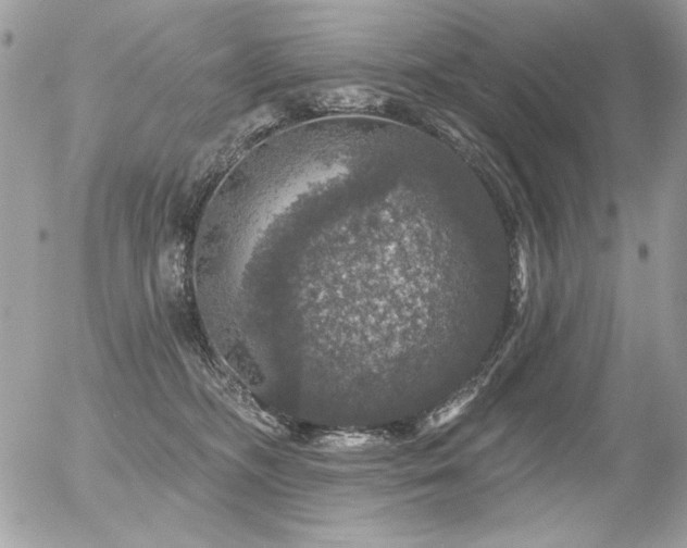 X0000056330326200508261227