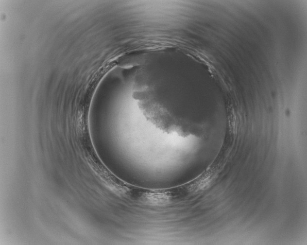 X0000056330327200508261227