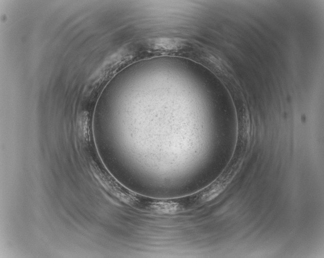 X0000056330328200508261227