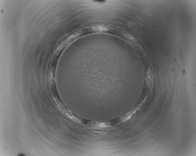 X0000056330330200508261227