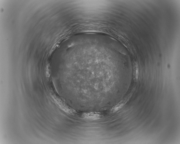 X0000056330331200508261227