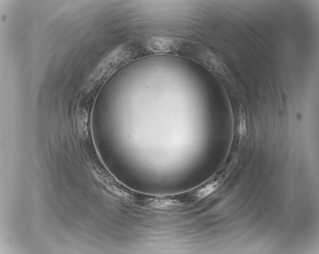 X0000056330332200508261227