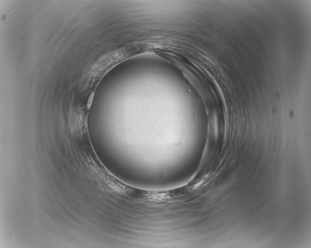 X0000056330333200508261227